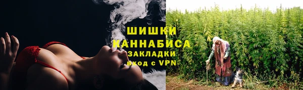 Альфа ПВП Верея