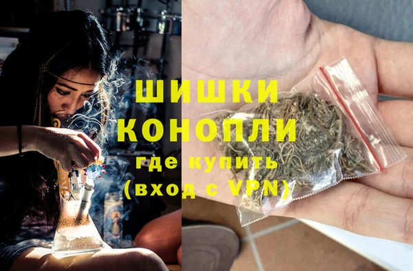 Альфа ПВП Верея