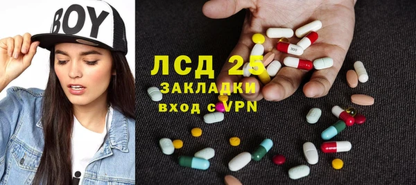 ПСИЛОЦИБИНОВЫЕ ГРИБЫ Тайга