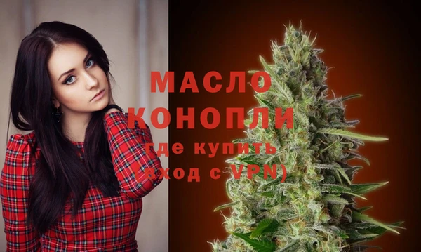 Альфа ПВП Верея