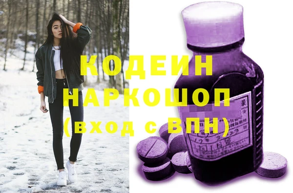 Альфа ПВП Верея