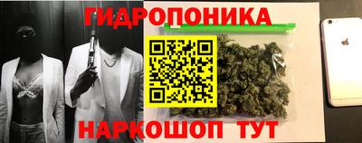 мяу мяу мука Беслан