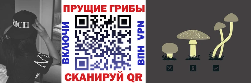 Псилоцибиновые грибы мицелий kraken Зеленокумск