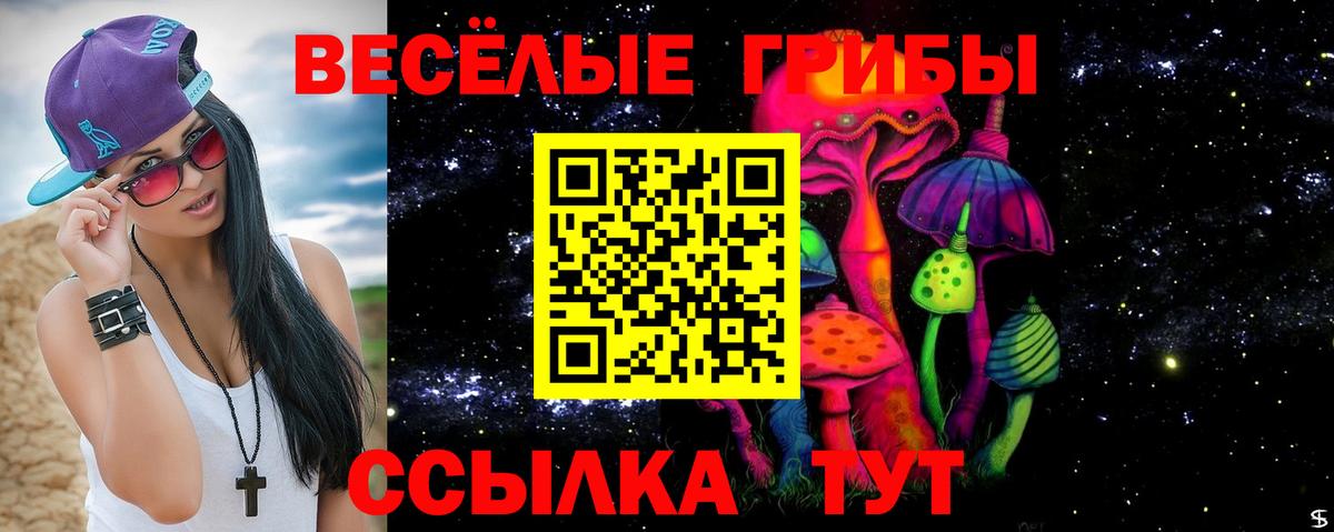 цены наркотик  Псилоцибиновые грибы Cubensis  Вход с VPN  Зеленокумск 