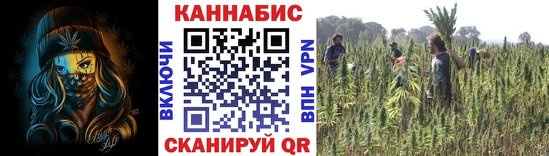 Канабис White Widow Зеленокумск